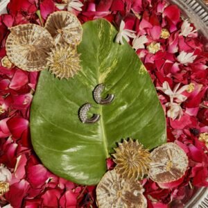 Chaoun: Silver Earrings